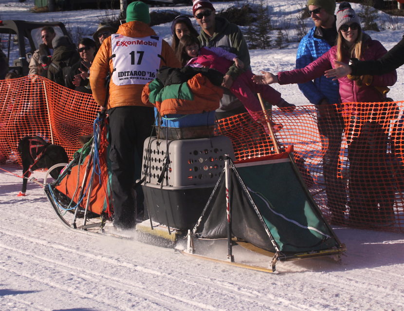 Kelly Maixner can carry up to four dogs in his tow-behind trailer. (Photo by Ben Matheson/Alaska Public Media)
