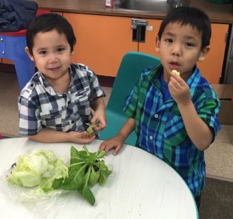 Kids in St. Paul sample lettuce. (Courtesy Lauren Divine)