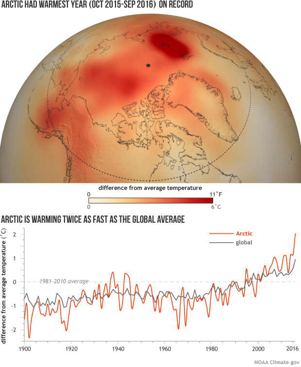 Temperature anomaly map