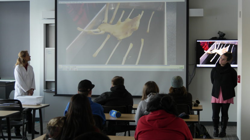 This school year's DEMBONES class watches a video on Thursday of the articulation process made by a previous class.