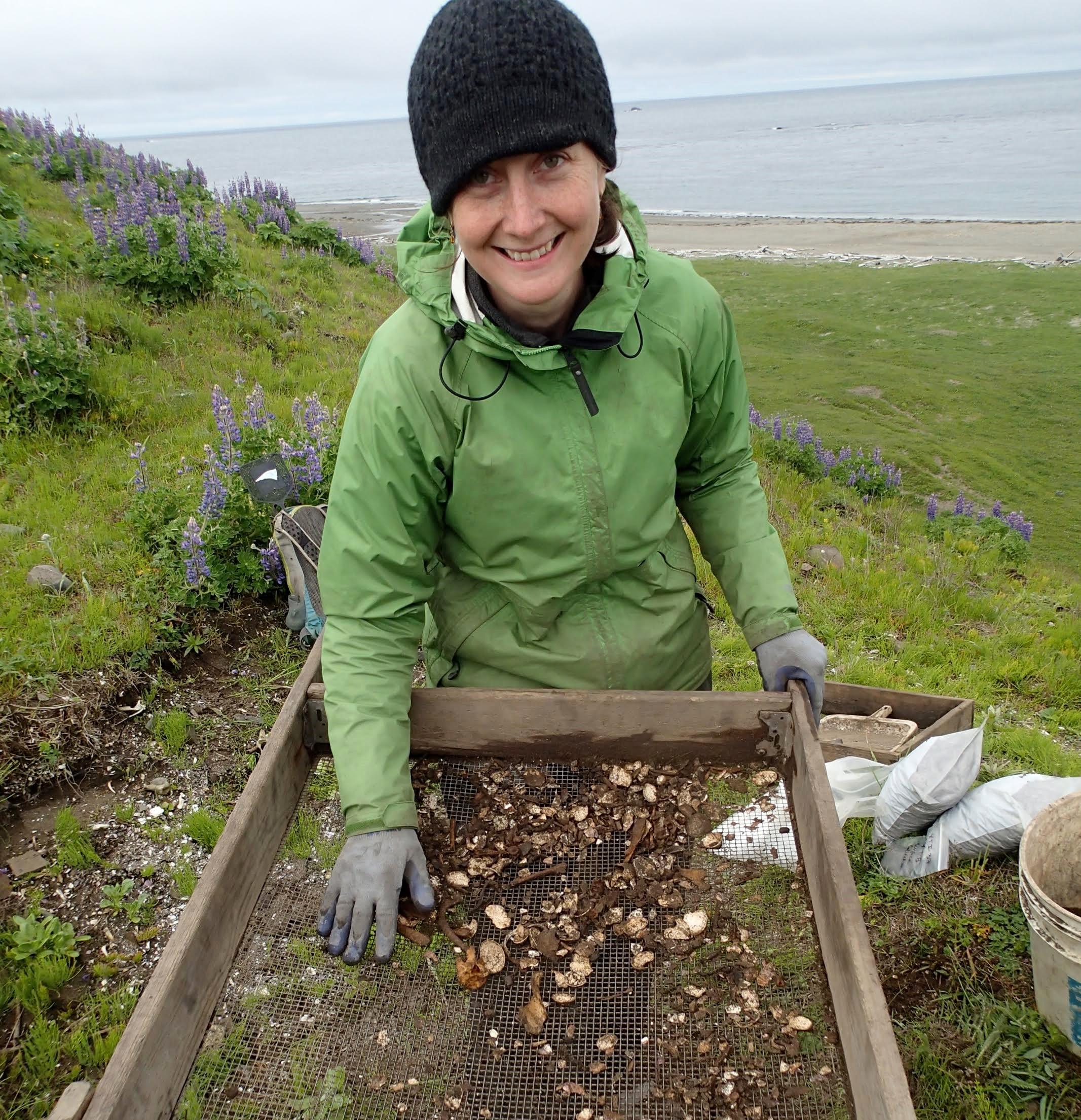 Catherine West screening archaeological midden on Chirikof Island in July 2013. (Photo courtesy of Patrick Saltonstall)