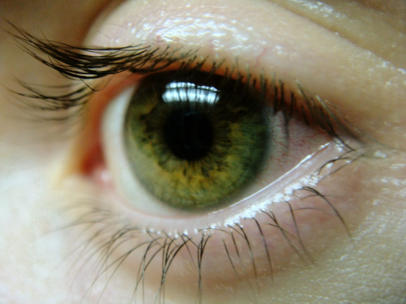 eyeball