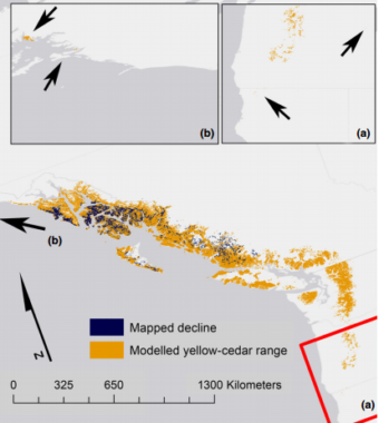 A map of yellow cedar decline. (courtesy of Brian Buma/UAS)