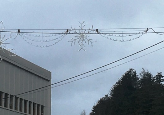 The City of Ketchikan's holiday light display came down early this year because of low lake levels and lack of hydroelectric power. (Photo by Leila Kheiry/KRBD)