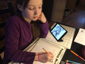 Shelby Whitecar, a Mat-Su Central School student, works on her assignment.
