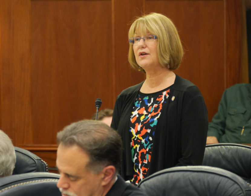 Sen. Anna MacKinnon, R-Anchorage, on the Senate Floor during debate about CSSB-26 (fin), March 15, 2017. (Photo by Skip Gray/360 North)