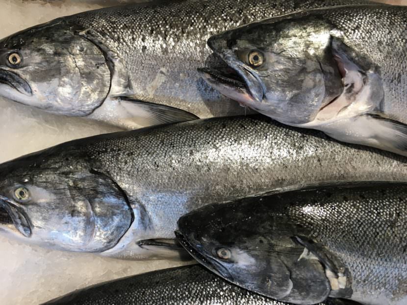 King salmon at a market in Seattle.