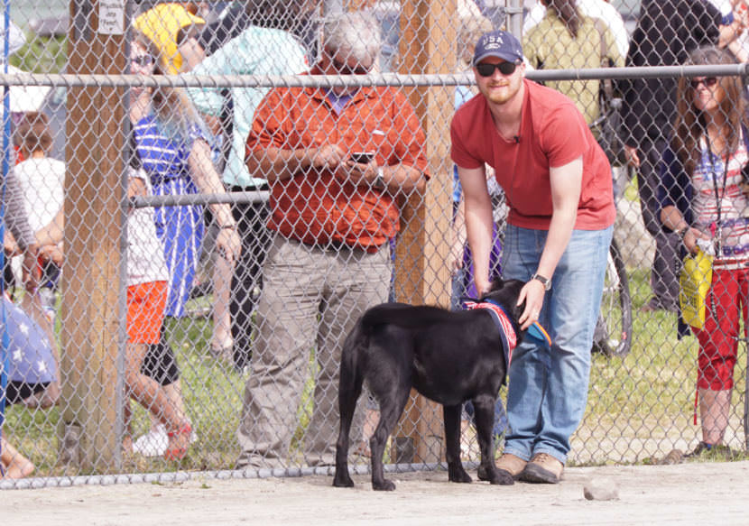 Butch the black lab holds a disc in his mouth for his owner, Eric Scott, during the Super Dog Frisbee Contest in Douglas on July 4, 2016. (Photo by Jeremy Hsieh/KTOO)