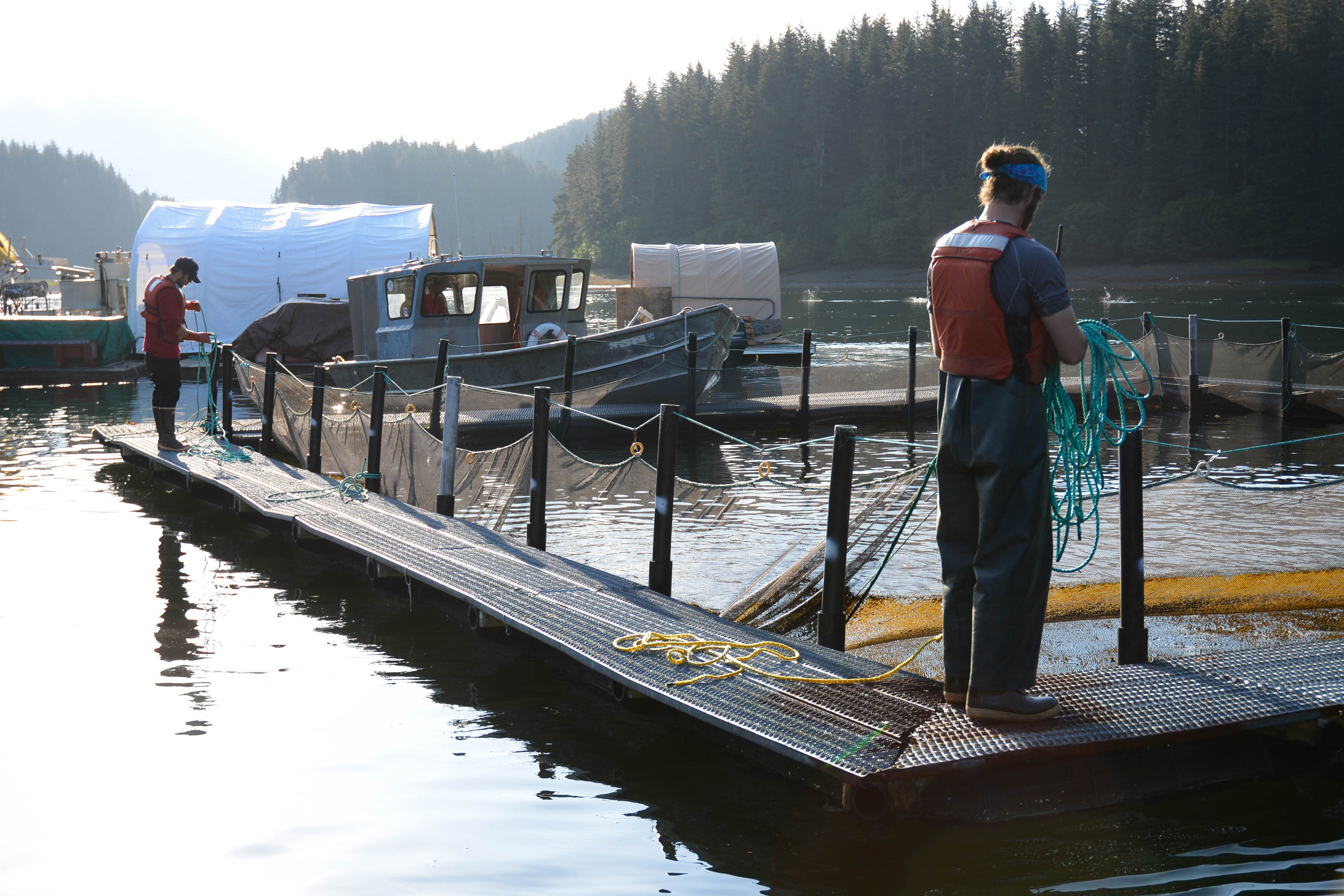 Tutka Bay Lagoon Hatchery. Photo courtesy Cook Inlet Aquaculture Association.)