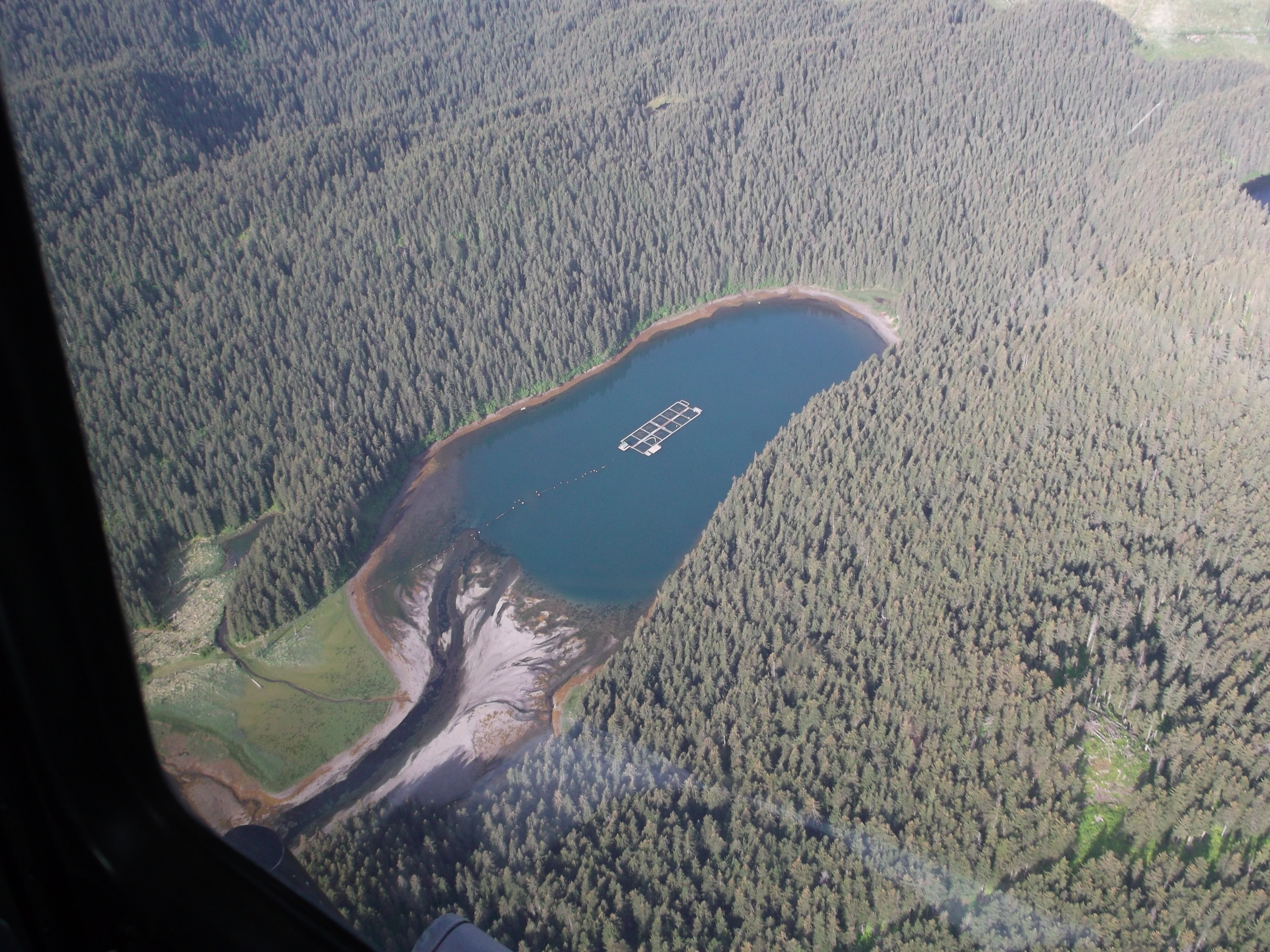 Tutka Bay Lagoon Hatchery. (Photo courtesy Cook Inlet Aquaculture Association.)