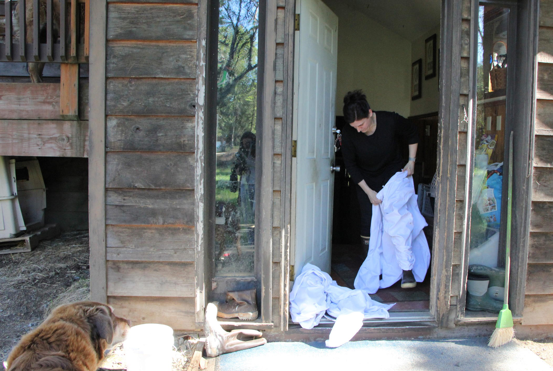 Pamela Murphy dons her bee suit. In February, Fairbanks beekeeper Dawn Cogan taught a weekend crash course in Dillingham. Afterward, four students, including Murphy made a god of it and ordered their own bees. (Photo by Avery Lill/KDLG)