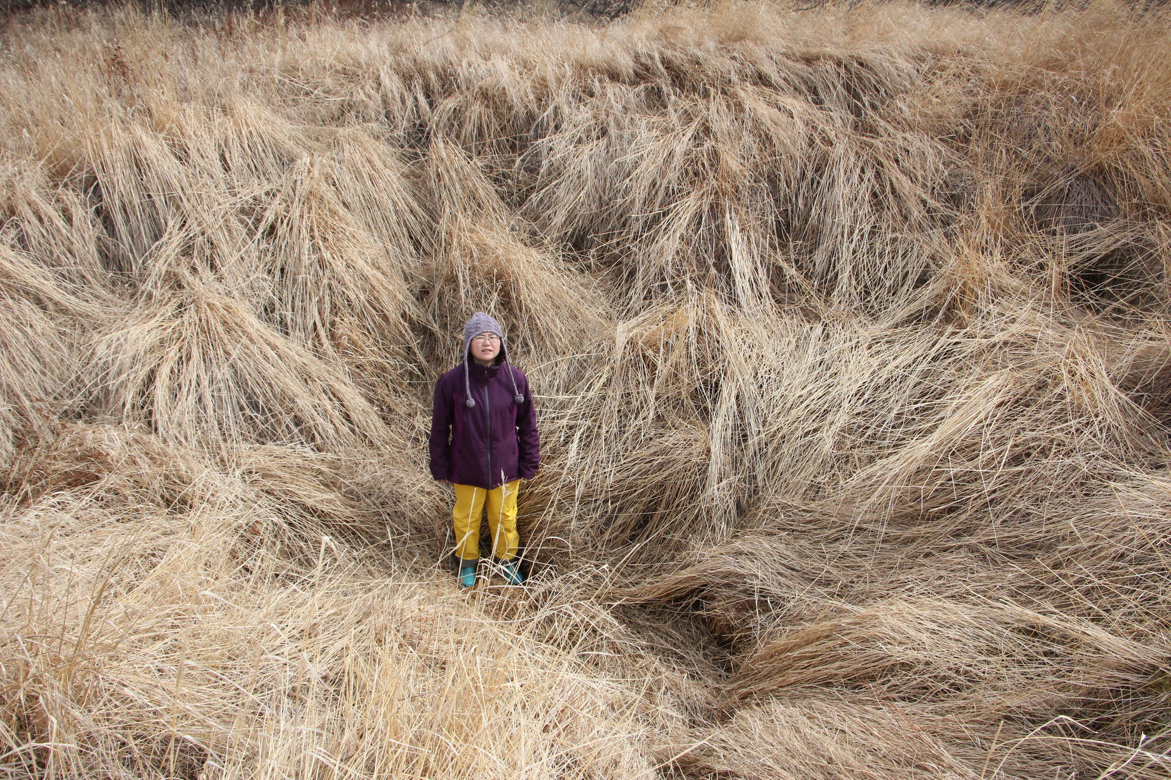 Yuko Kugo stands in a pit house in an abandoned settlement along the Kvichak River. (Photo by Avery Lill/KDLG)