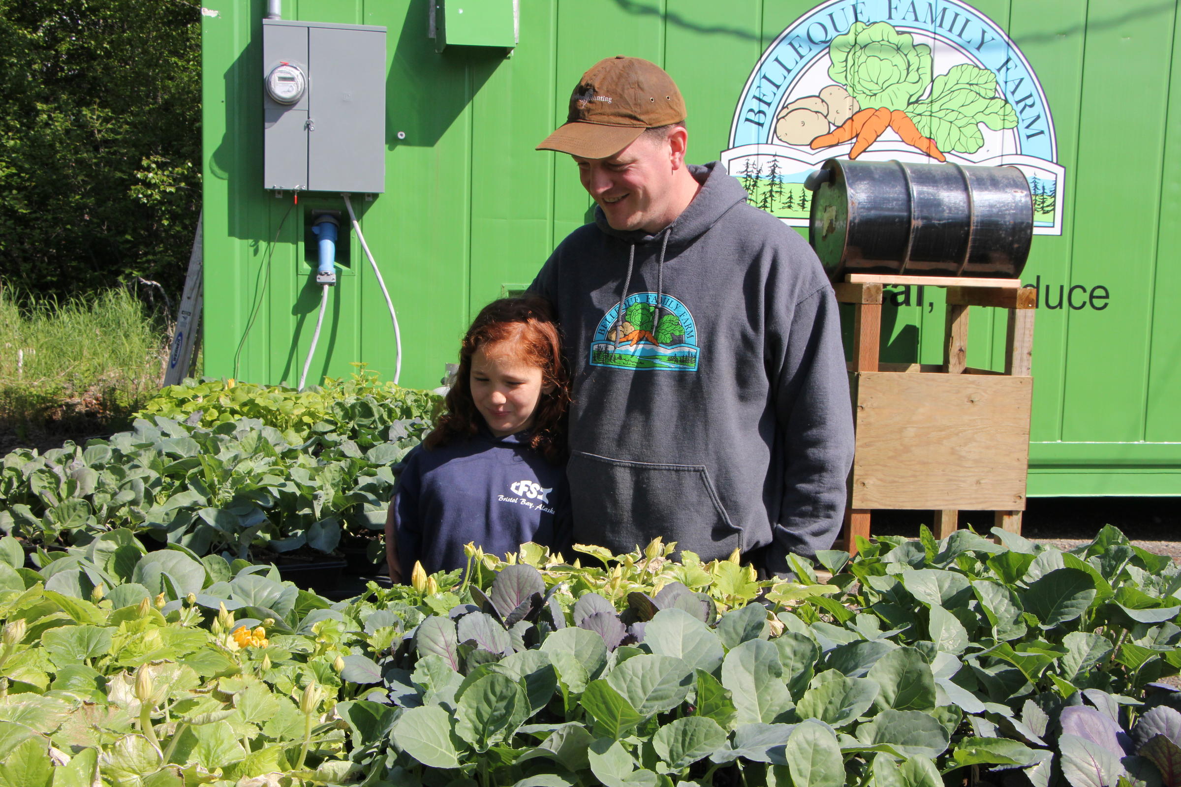 Kyle Belleque and his daughter, Amy, are in the midst of planting these greens. Some will go in the garden in their yard. Others will be replanted in their hydroponic growing system. (Photo by Avery Lill/KDLG)