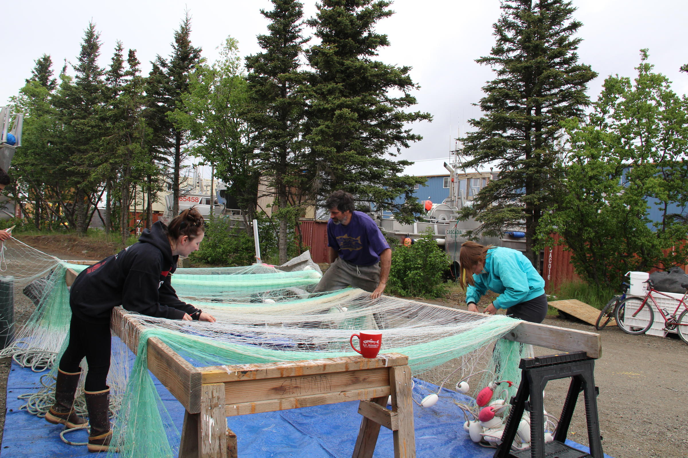 The Marinkovich family stitches up their net to prepare for water. (Photo by Caitlin Tan/KDLG)