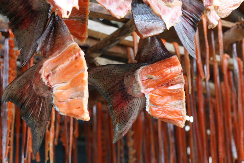 Diane Ishnook dries her fish briefly in the open air before smoking it. (Photo by Avery Lill/KDLG)