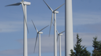 Kodiak generates about 20 percent of its electricity from wind. The Kodiak Electric Association has installed six turbines on Pillar Mountain since 2009. (Photo by Eric Keto/Alaska's Energy Desk)