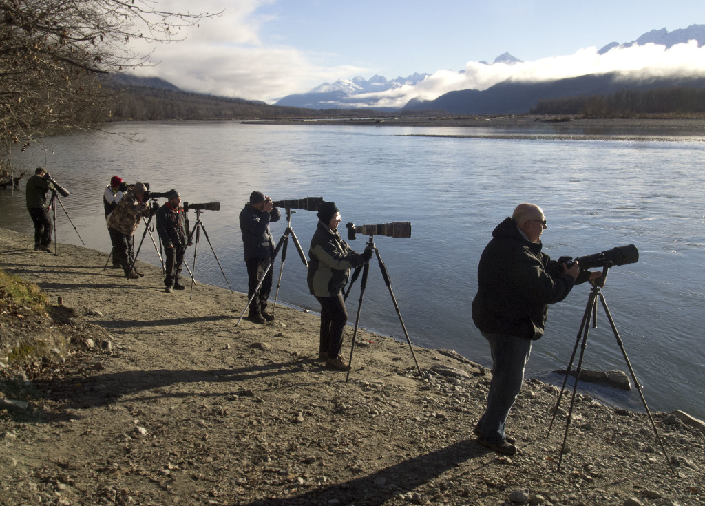 Eagle photographers along the Chilkat River. (Photo courtesy John Hagen)