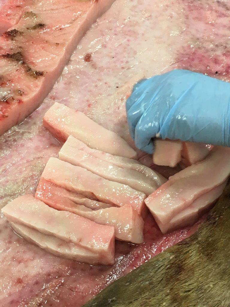 Seal blubber being cut from skins in Kotzebue. (Photo courtesy Maniilaq Association)
