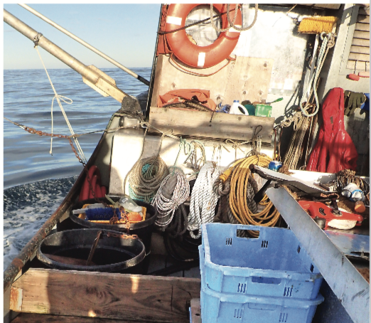 (Photo courtesy NOAA)