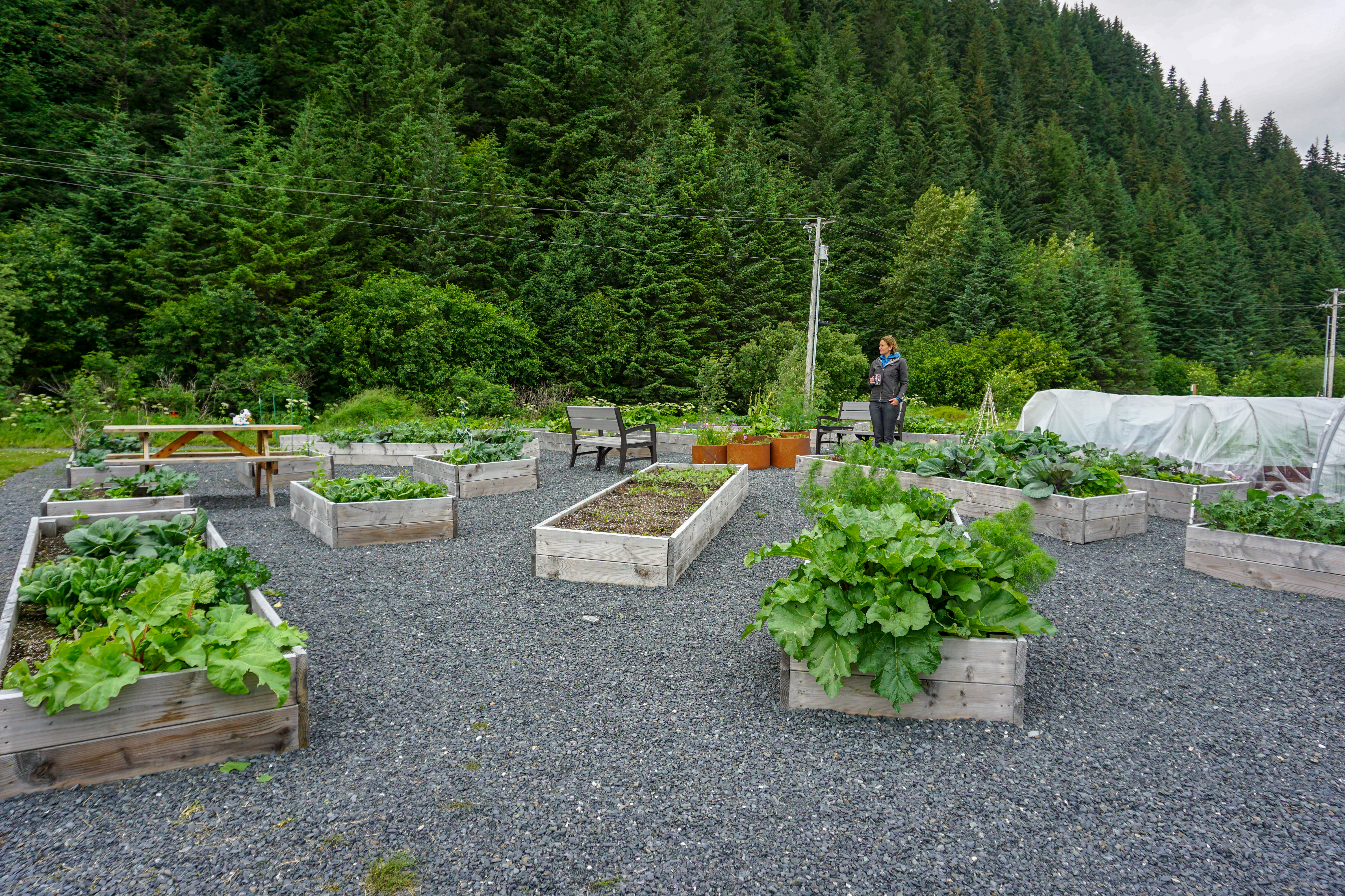 Micheley Kowalski stands in the Seward Community Garden. (Photo by Anne Hillman/Alaska Public Media)