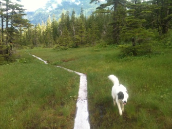 Dan Moller Trail