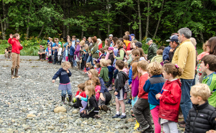Dozens of children and their families line the beach waiting for the seals to be released.