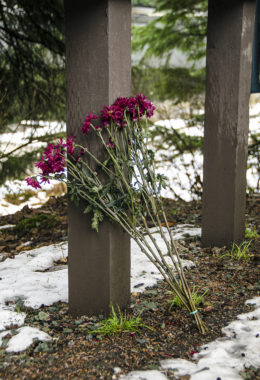 A group of carnations sets against the Auke Lake Trail sign.