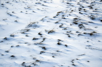 Snow