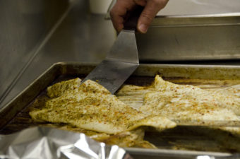 halibut