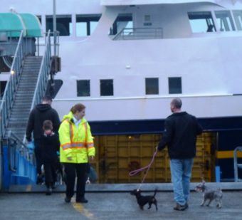 A marine highway staffer watches as passengers with dogs reboard the ferry Matanuska before departing Wrangell. The Mat is one of 11 ferries serving 35 communities.