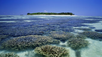 Heron Island is located on the southern end of the Great Barrier Reef, about 25 miles off the northeast coast of Australia. Ted Mead/Getty Images