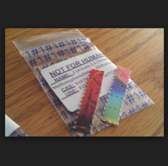 Perforated blotter paper