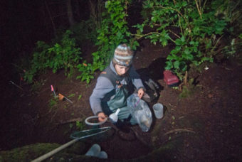 Alexis Will collecting samples at night. (SCS photo/Matt Dolkas)