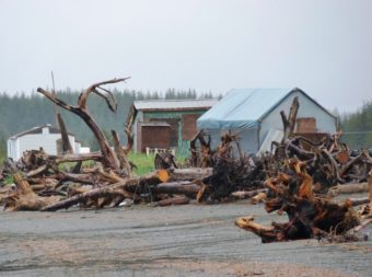 The beach fish camp at Strawberry Point is one of the areas of Yakutat where mining claims were staked. Ed Schoenfeld/CoastAlaska News.