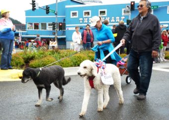 The Yankee Doodle Dogs.