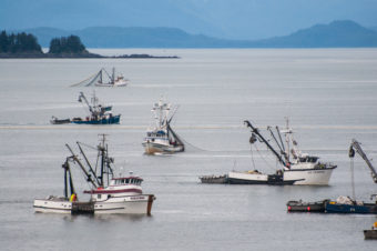 Nearly 100 boats showed up for the special opening.