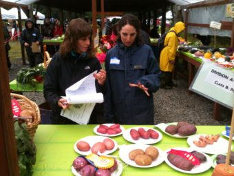Harvest Fair12