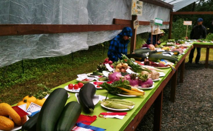 Harvest Fair15