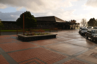 WhaleFest FilmFest 2013