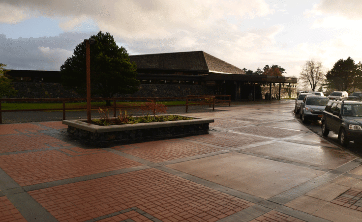 WhaleFest FilmFest 2013