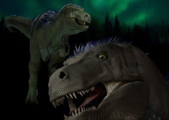 An artist’s rendition of the top dinosaur discovered on Alaska’s North Slope, Nannuqsaurus hoglundi. (Artwork by Karen Carr)