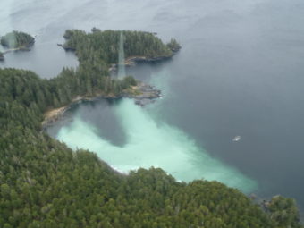 Herring spawn, on the west side of Middle Island Tuesday morning (3-25-14). (Photo courtesy ADF&G/Dave Gordon)