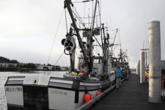 Seiners wait at the newly reopened ANB harbor for the 2014 Sitka Sound sac roe herring fishery to open. (KCAW photo/Rachel Waldholz)