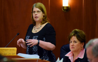 Rep. Tammie Wilson addresses the Alaska House of Representatives, March 12, 2014. (Photo by Skip Gray/Gavel Alaska)
