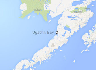 The skifff capsized near Pilot's Poin in Ugashik Bay.(Map courtesy Google Earth)