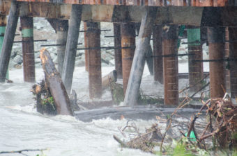Trees and stumps are caught up under the Brotherhood Bridge construction. (Photo by Heather Bryant/KTOO)