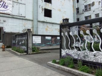 Pocket Park