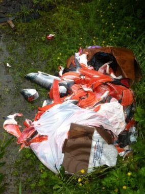 Biologists found the fish carcasses at the end of Valley Boulevard near the Under Thunder trail. (Photo courtesy Alaska Department of Fish and Game)