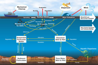 (Chart courtesy WWF)