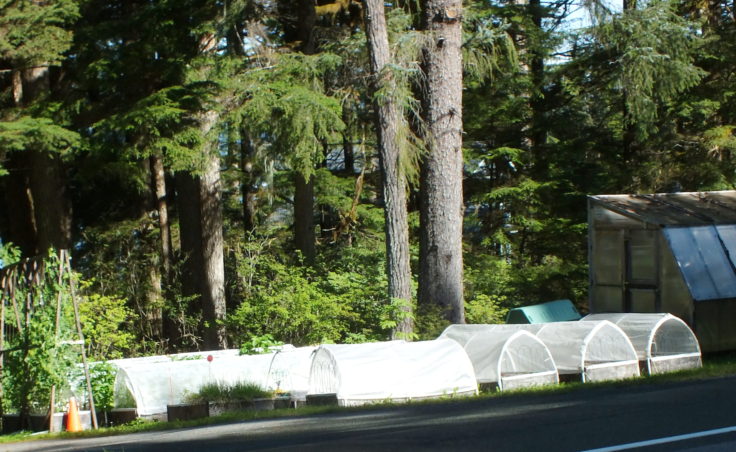 Hoop houses